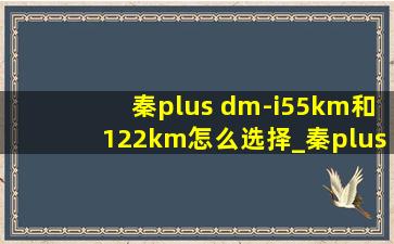 秦plus dm-i55km和122km怎么选择_秦plus dm-i55km和122km怎么选